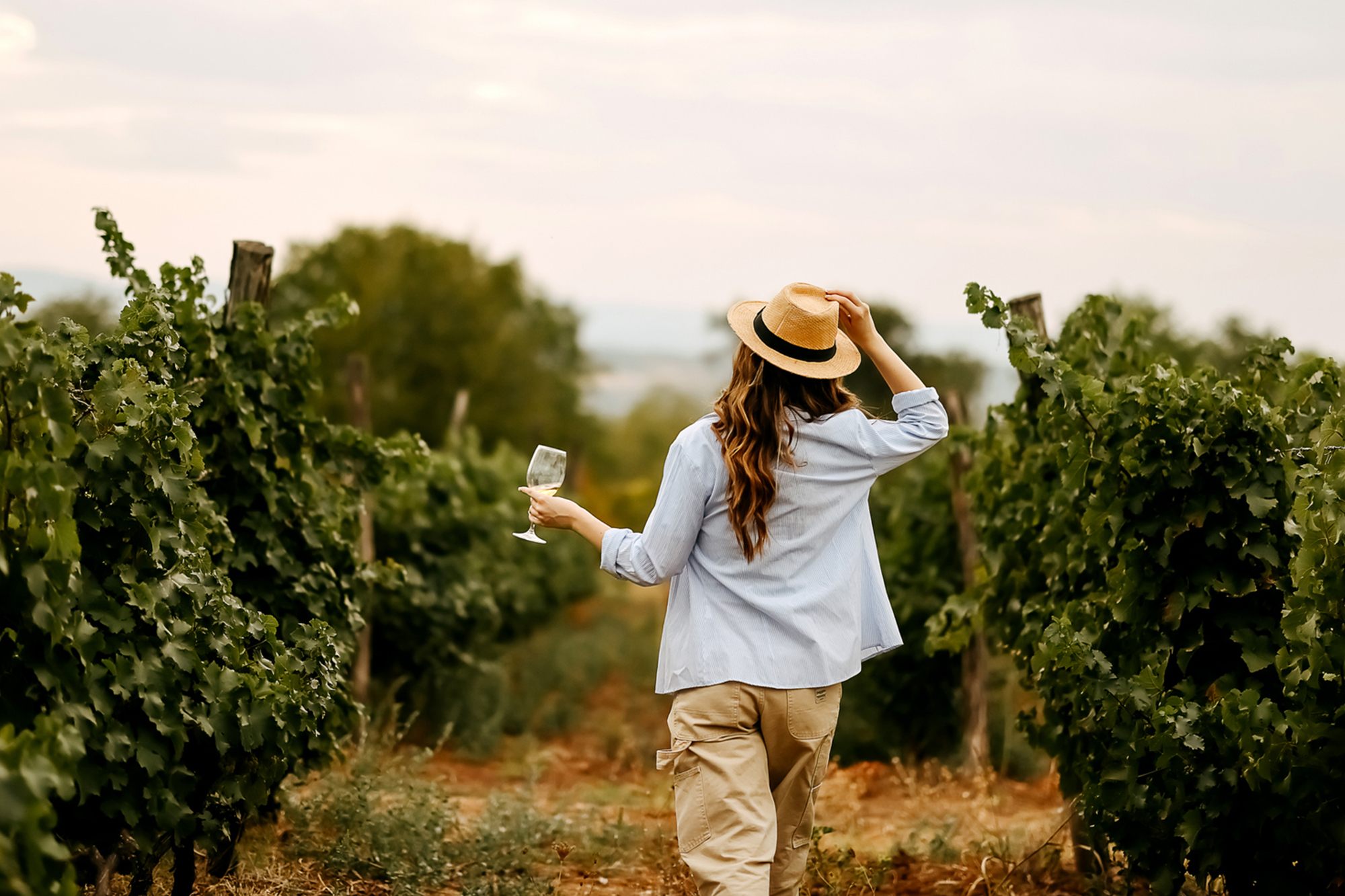 A woman in a straw hat walking through a vineyard, holding a glass of wine